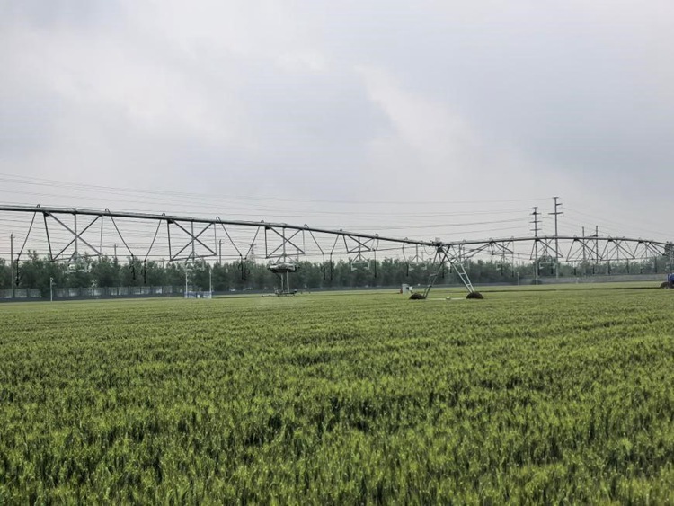 206.jpg